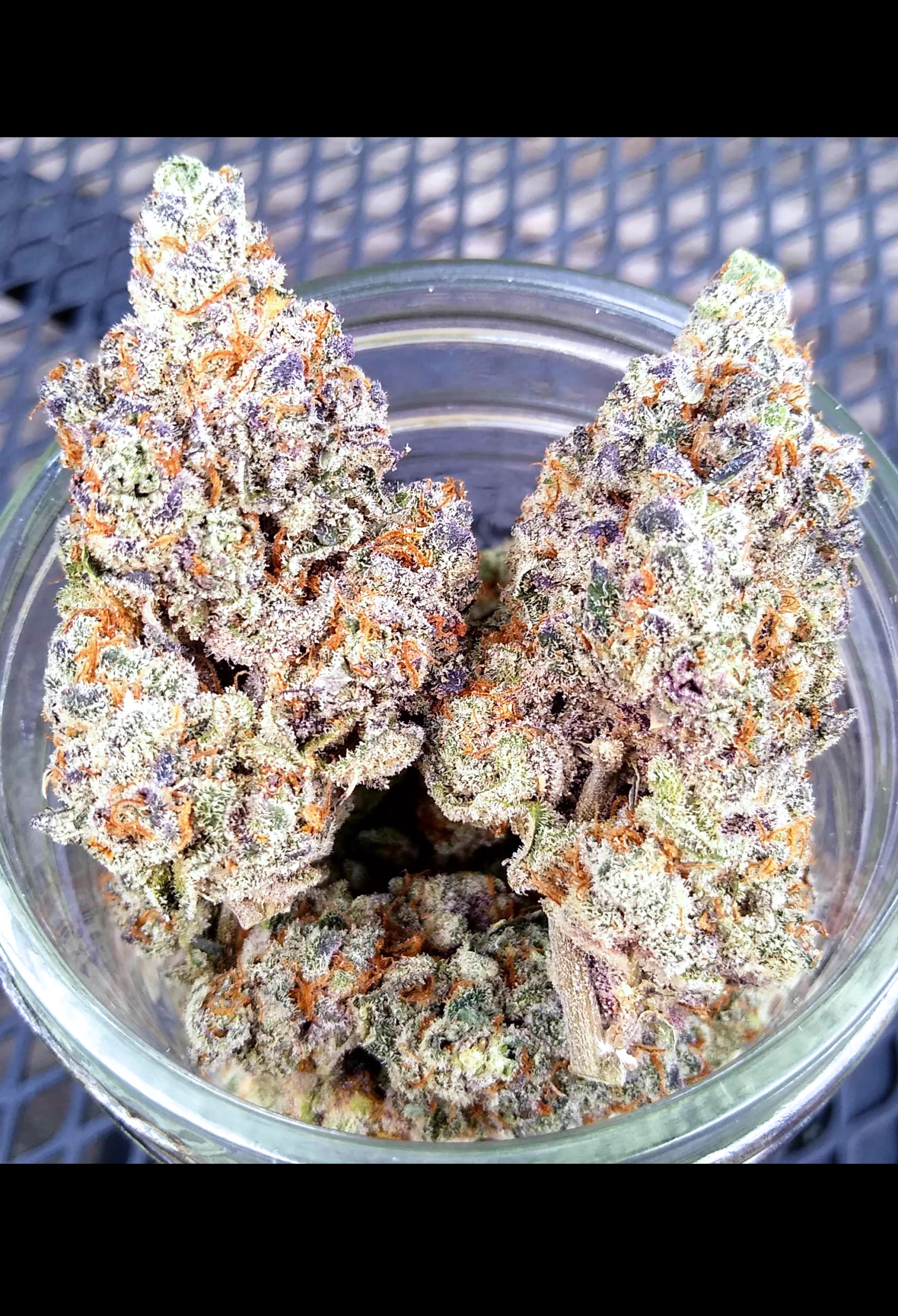Red Pop [Clone]