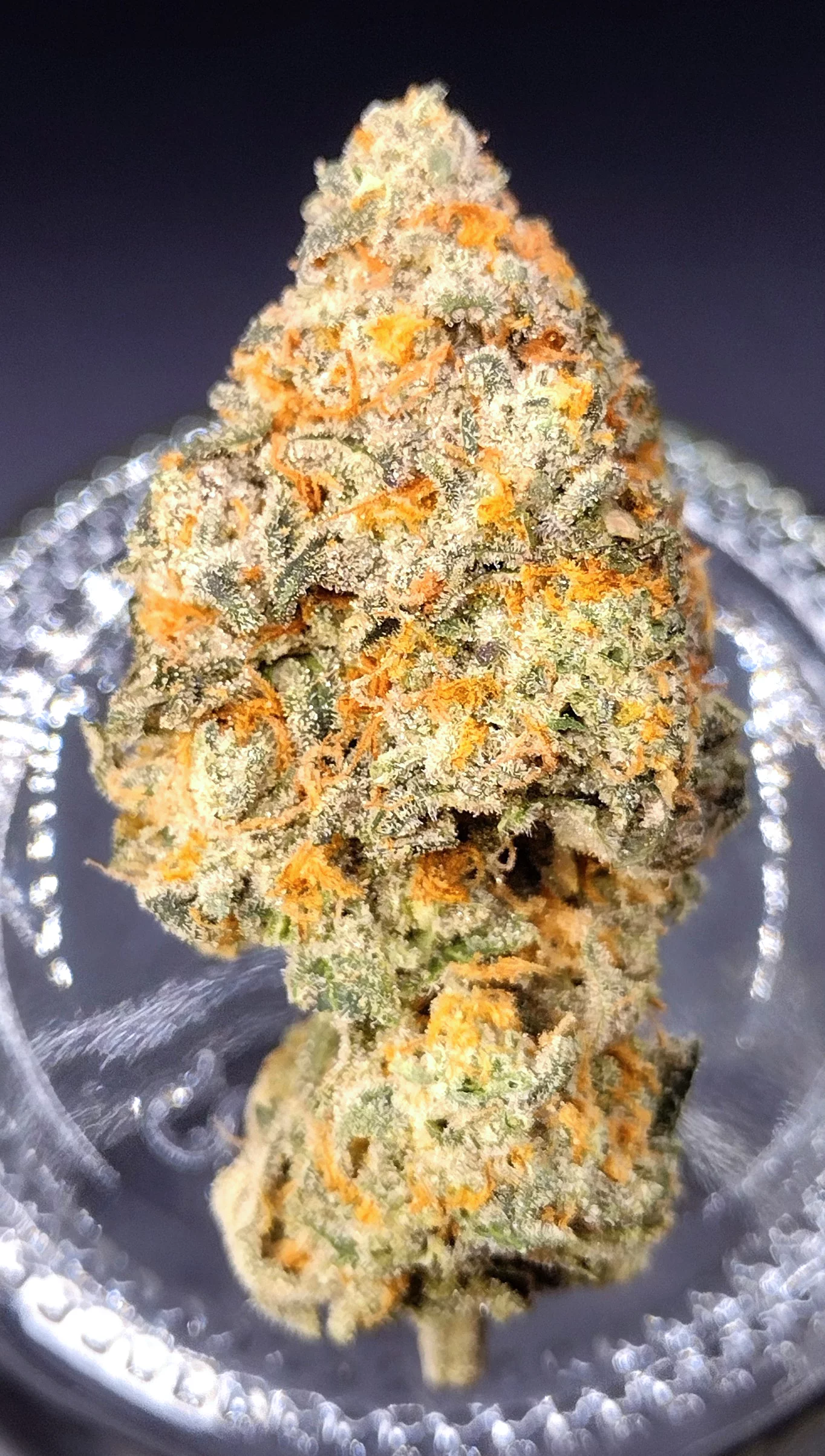 UAV (Alien Mints [Cap Junky] x Gush Mints) - Image 5
