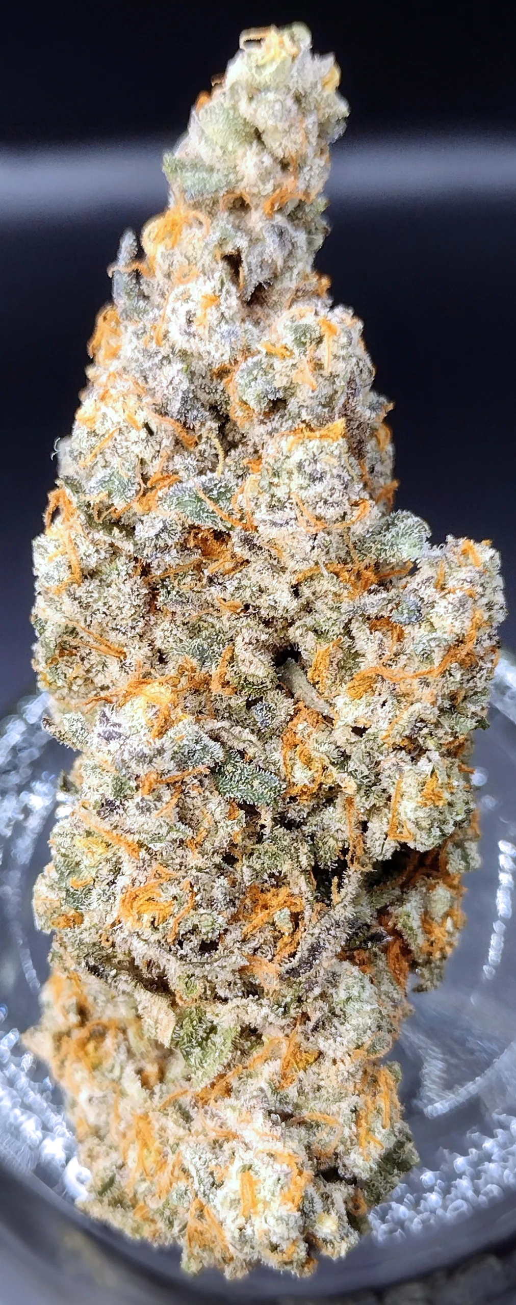 Red Rum (Red Pop x Gush Mints) - Image 5