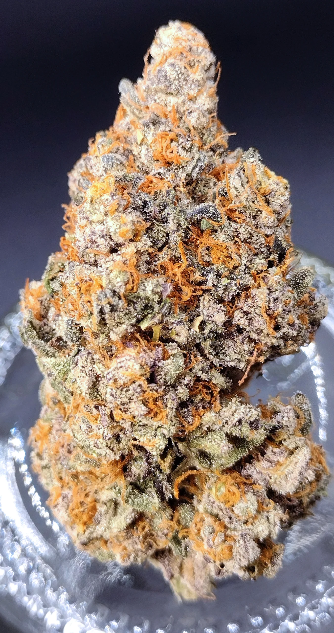 Red Rum (Red Pop x Gush Mints) - Image 4