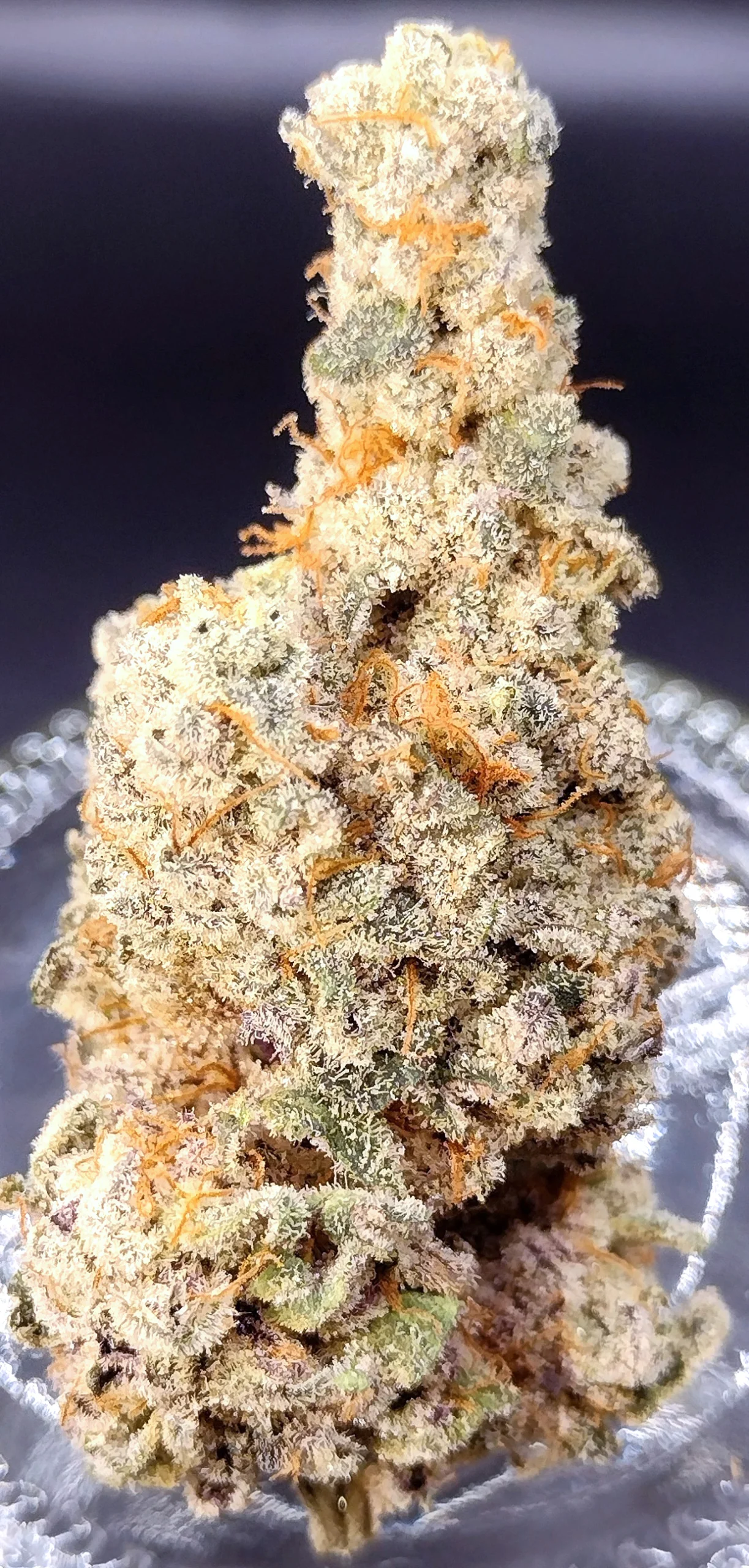 Flame Thrower (Strawberry Gary x Gush Mints) - Image 3