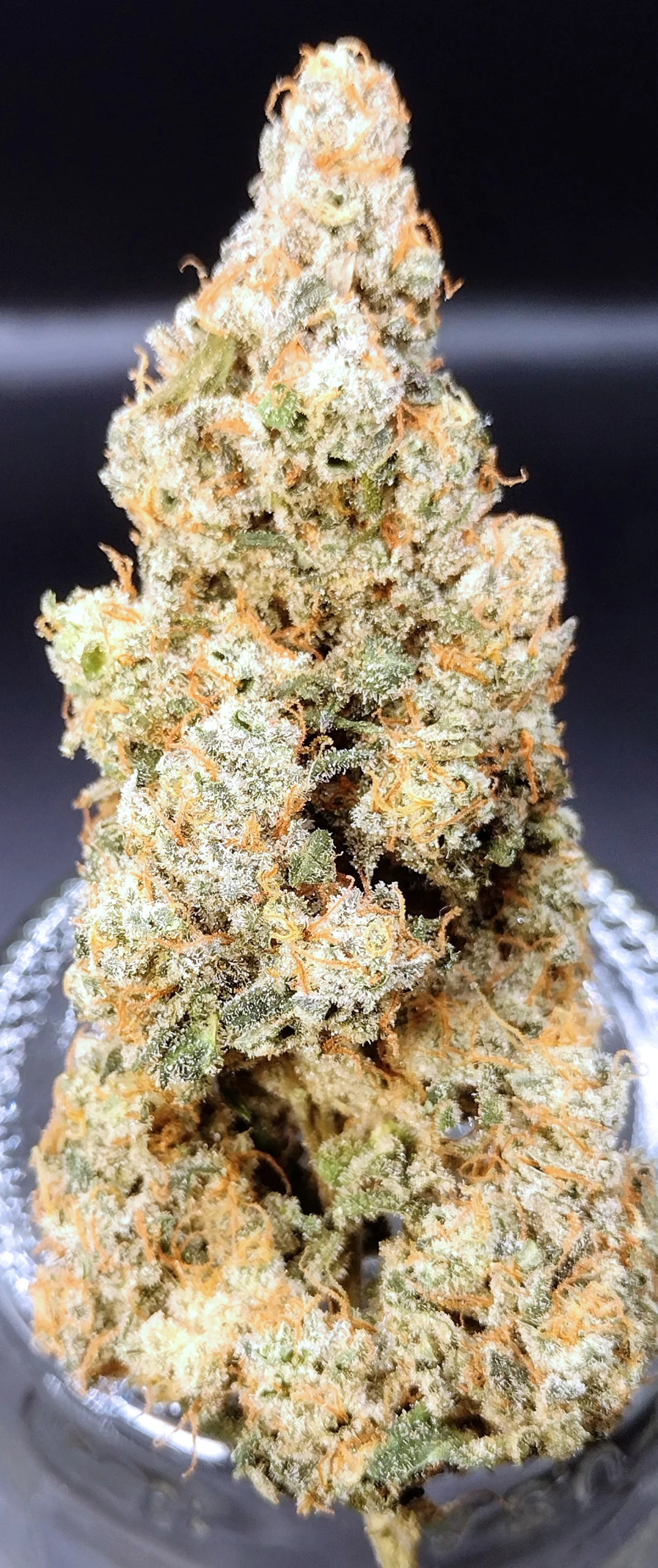 Crazy Train (Trainwreck x Gush Mints) - Image 3