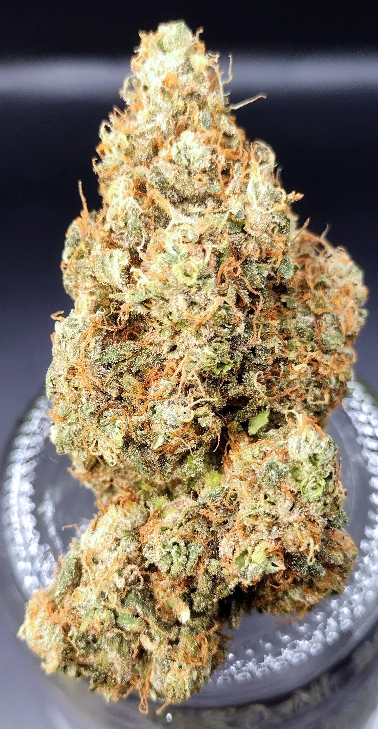 Crazy Train (Trainwreck x Gush Mints) - Image 2