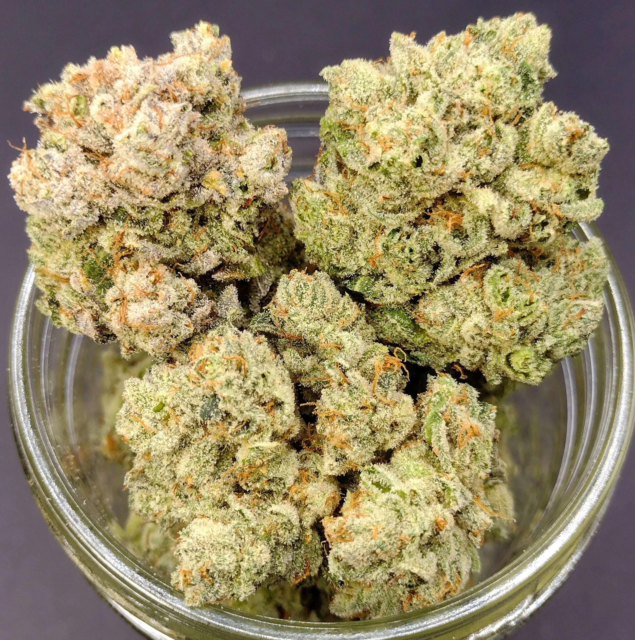 Gorilla Glue #4 [Clone] - Image 2
