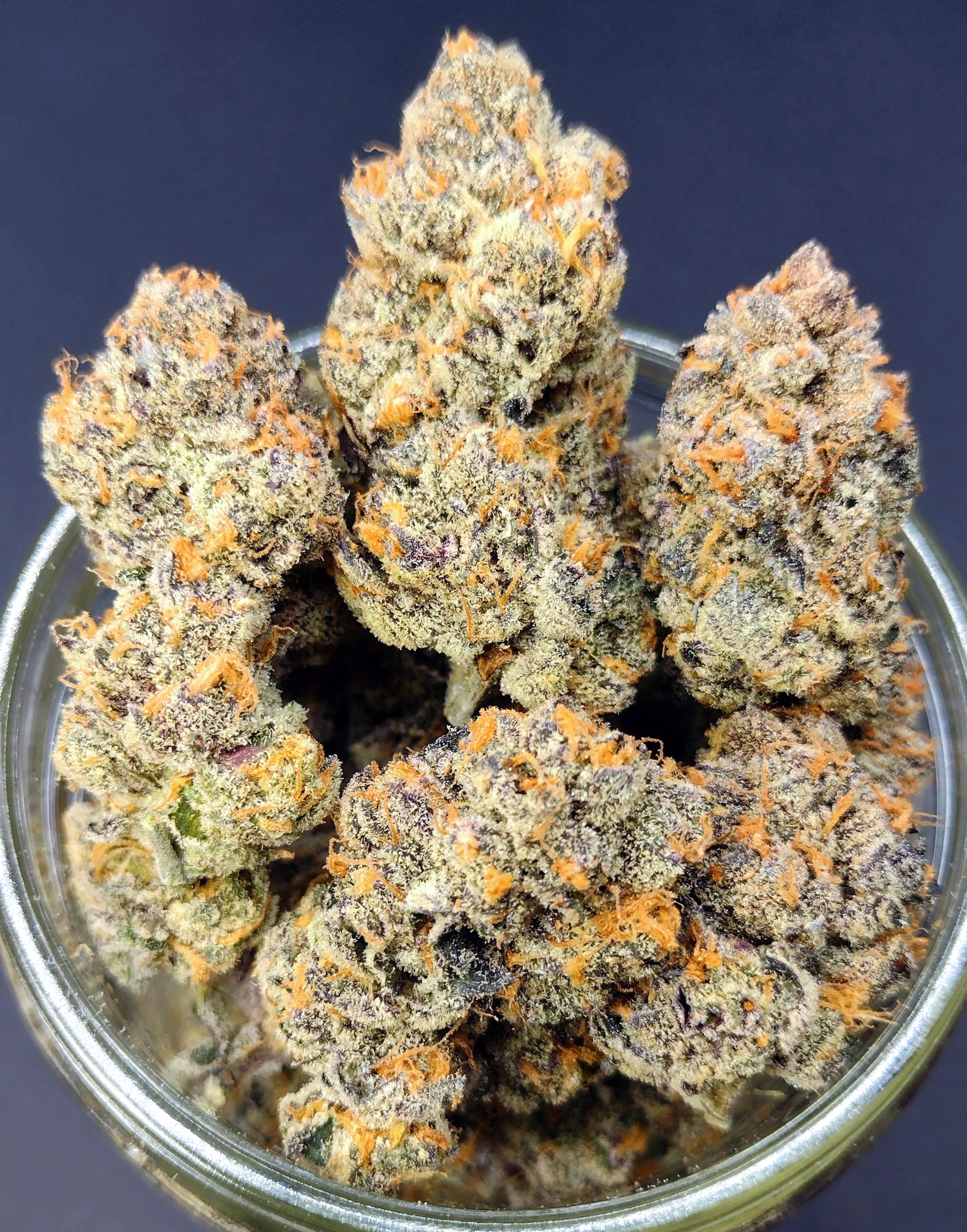 Girl Scout Cookies (Thin Mint Cut) [Clone] - Image 3