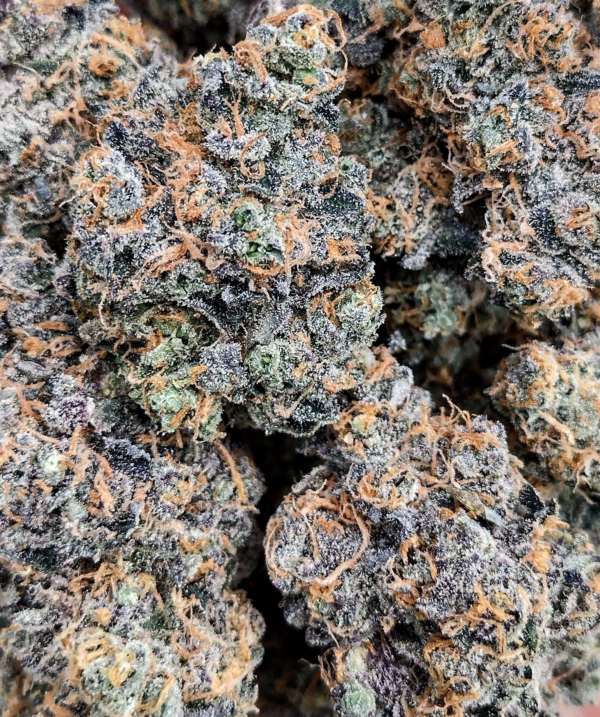 Gary Payton x Jealousy (Gary Satan) [Clone] - Image 3