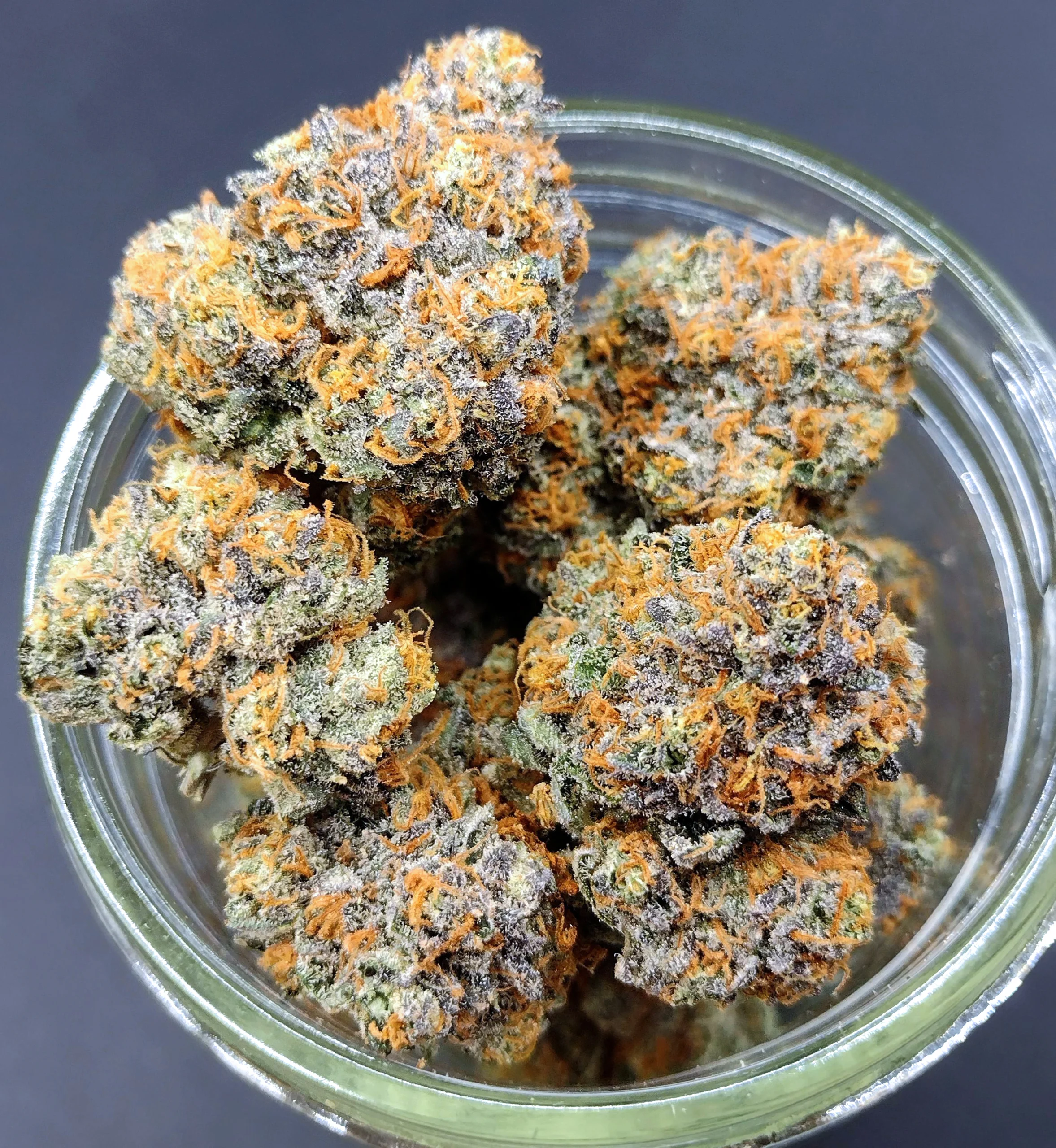 RS-11 [Clone] - Image 2