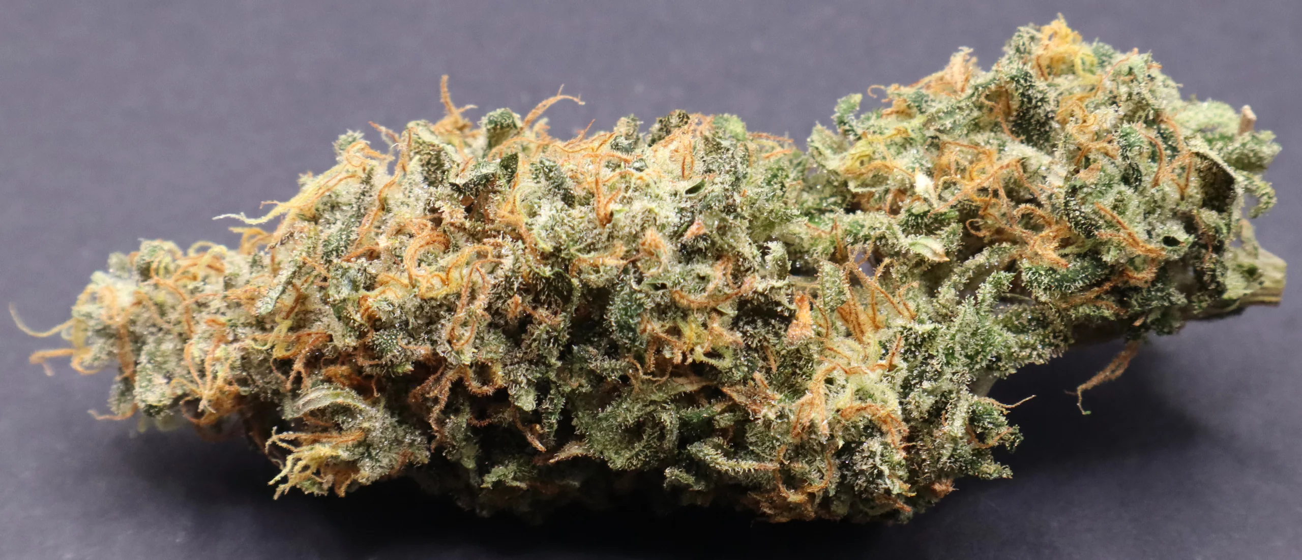 Trainwreck [Clone] - Image 5