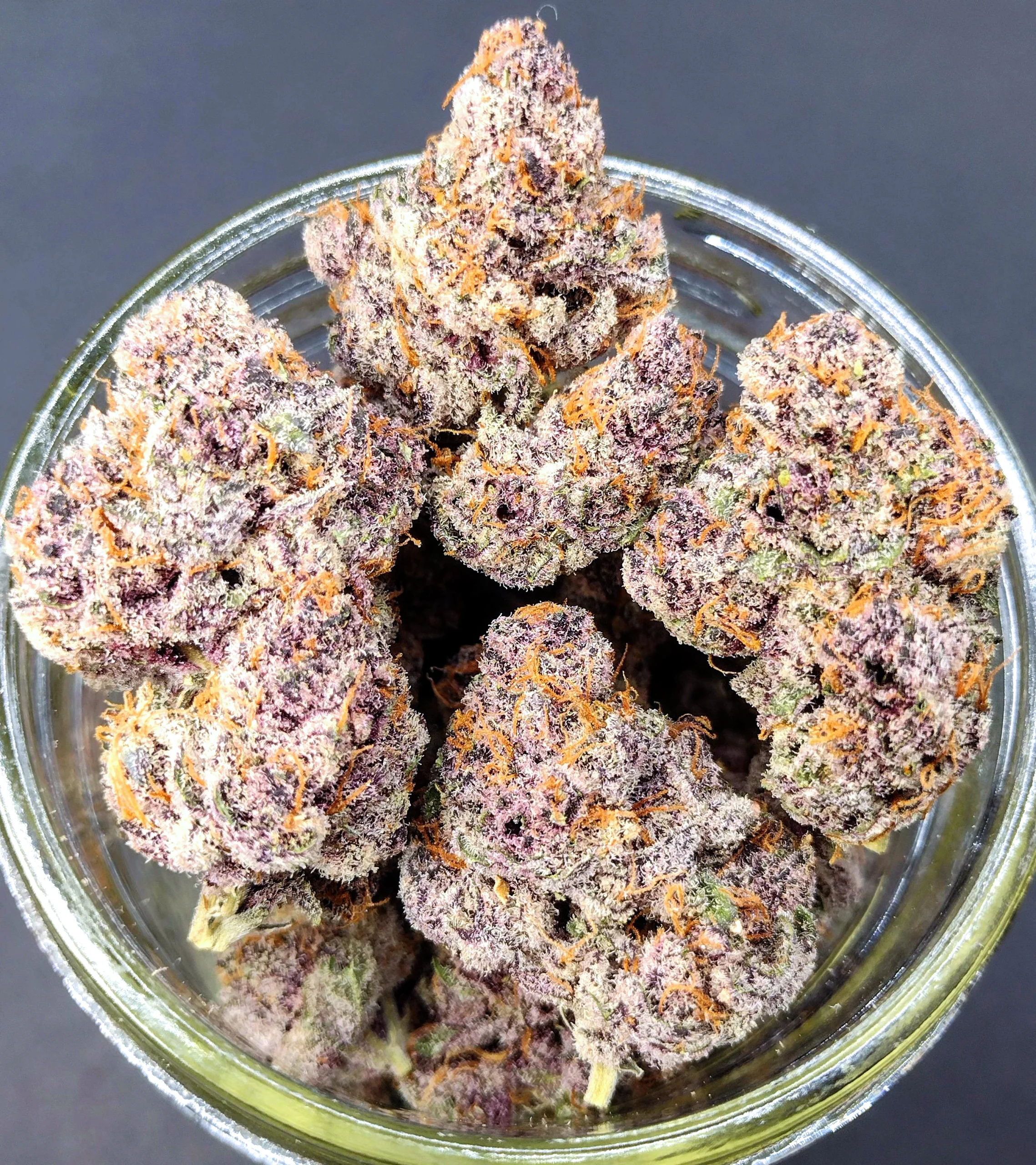 Tropicana Cherry [Clone] - Image 5