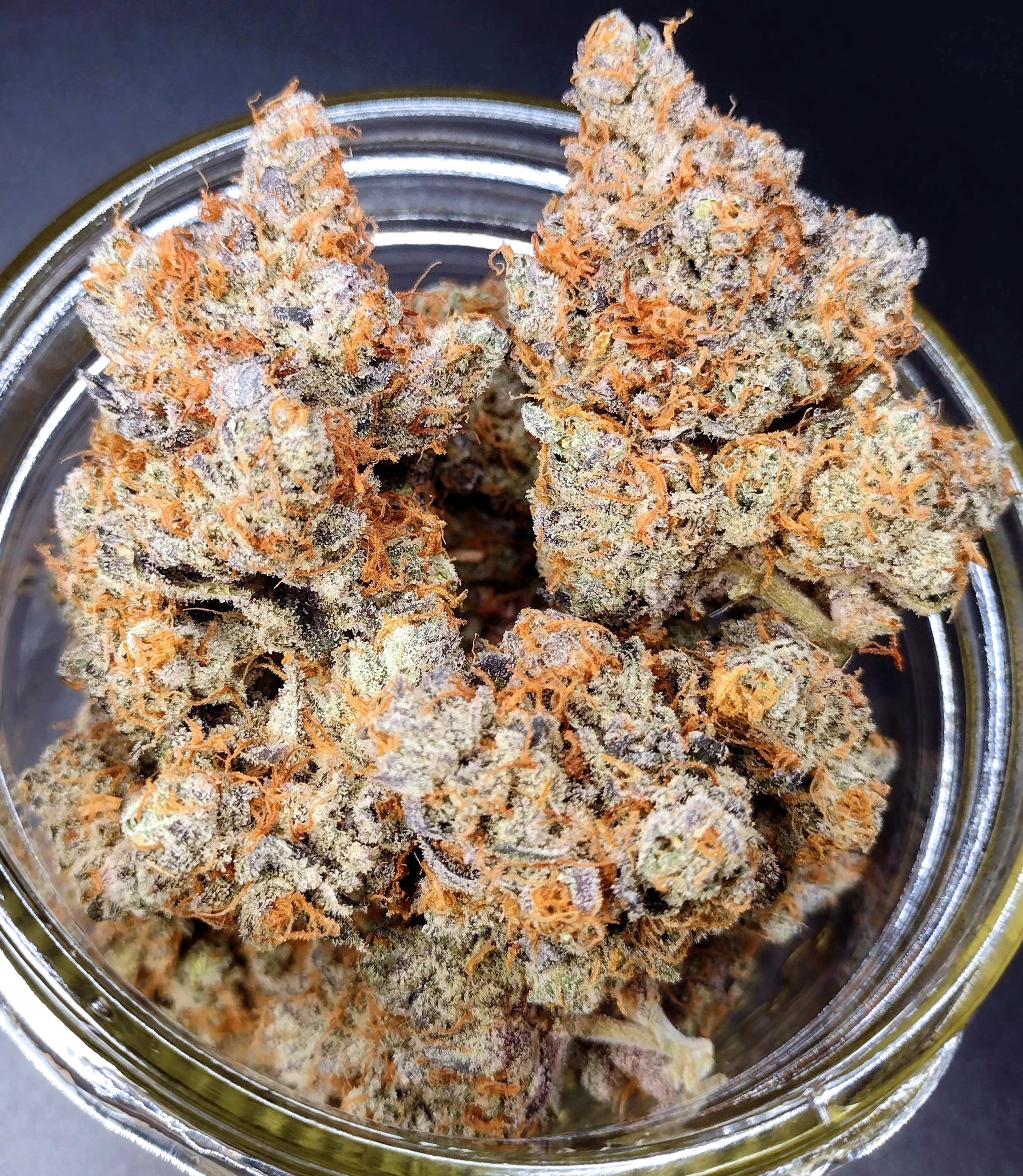 Dope Boy [Clone] - Image 3