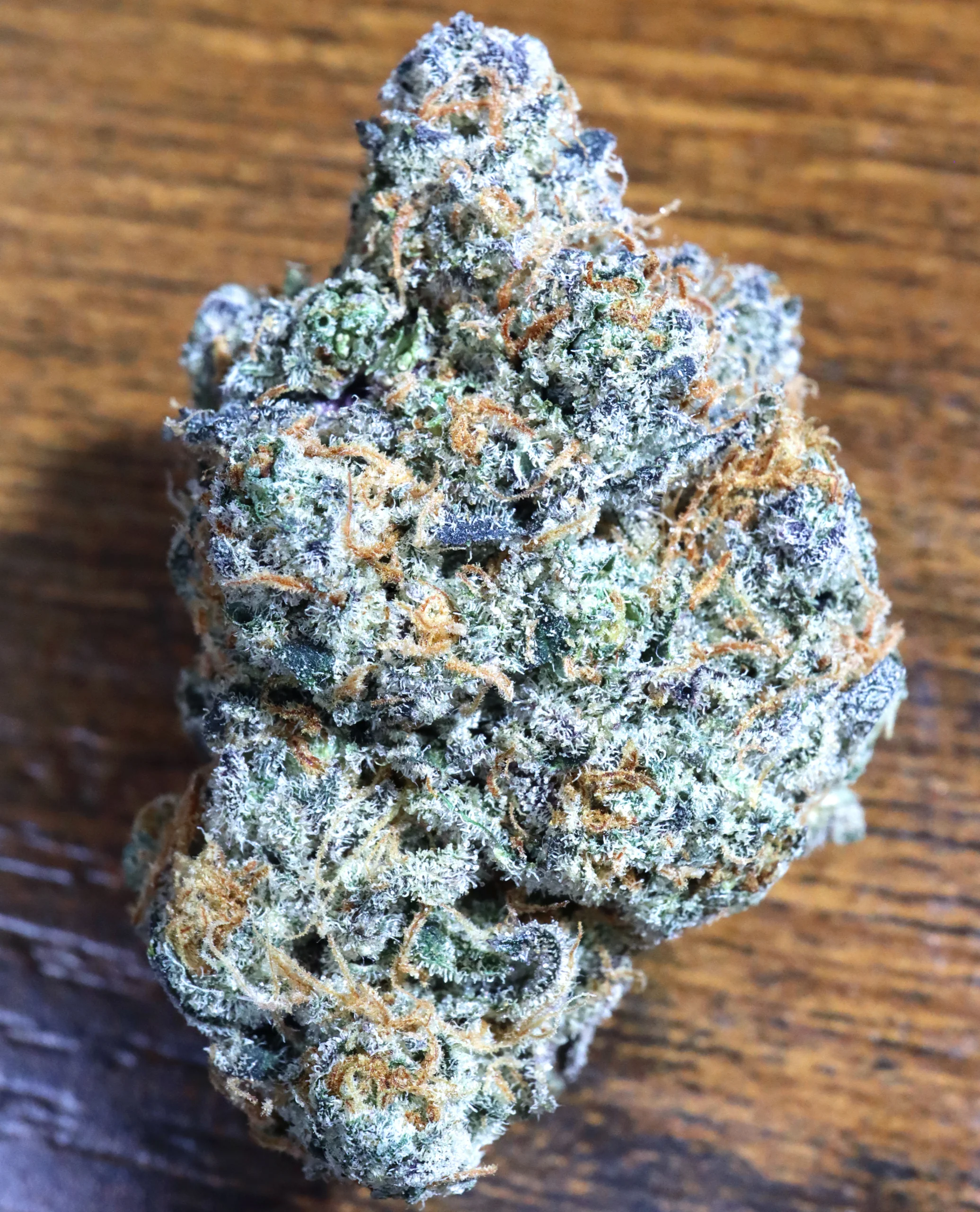 Dope Boy [Clone] - Image 2