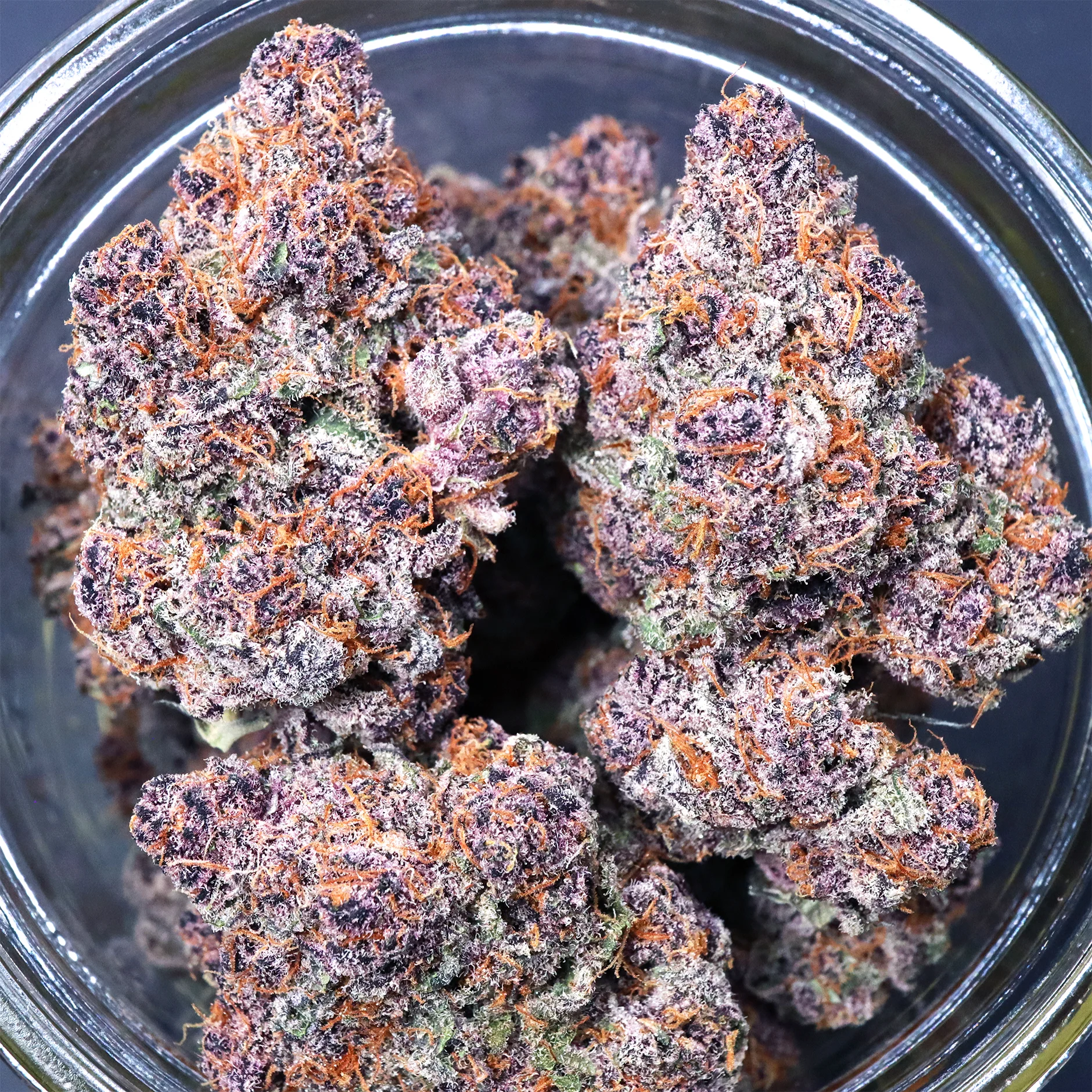 Tropicana Cherry [Clone] - Image 2
