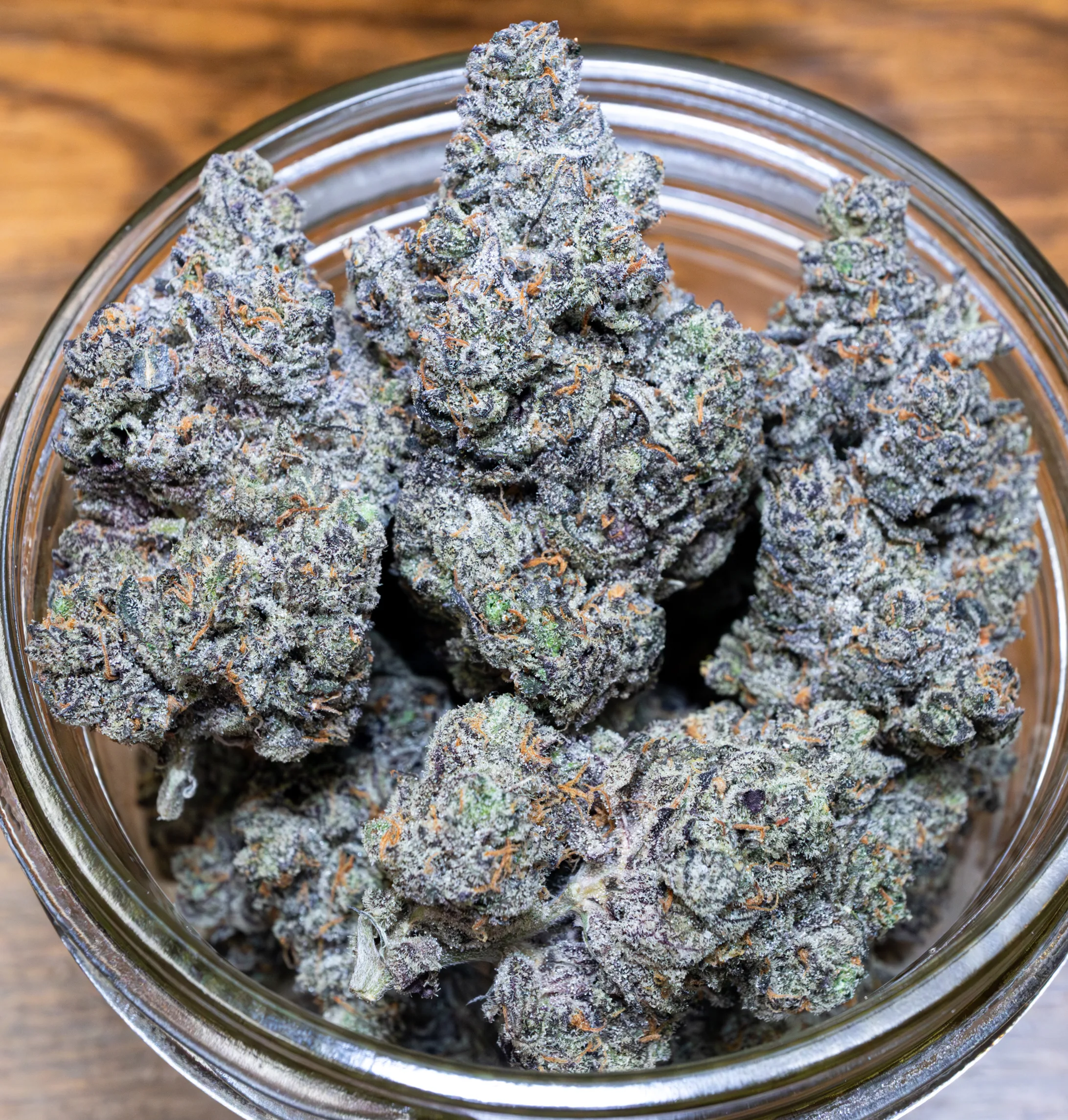 Fudge Truffle [Clone] - Image 2