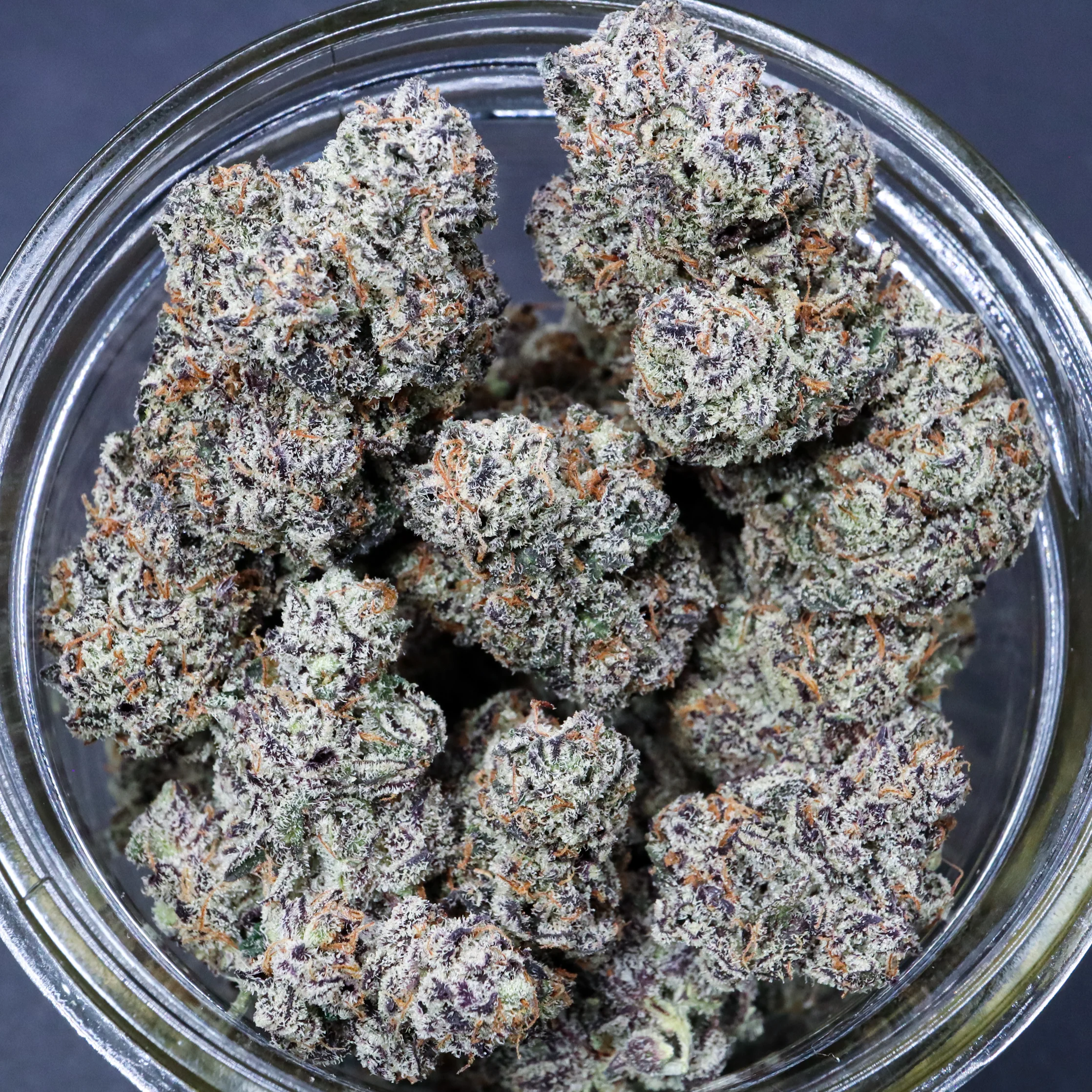 Gorilla Butter F2/White Truffle [Clone] - Image 3