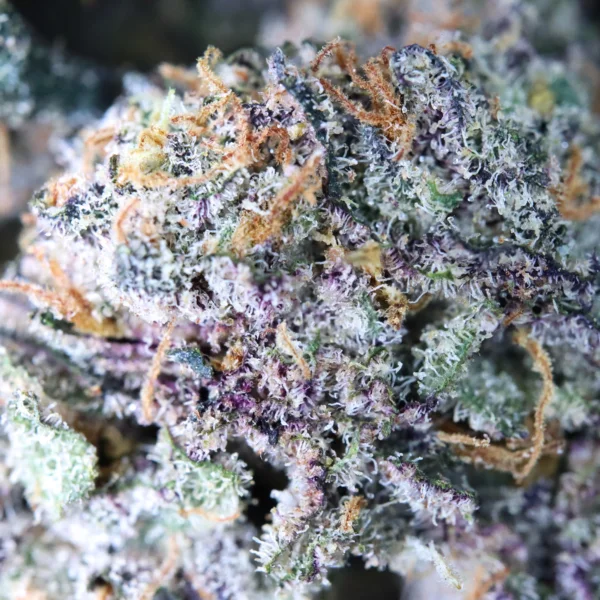 Zoap [Clone] - Image 3