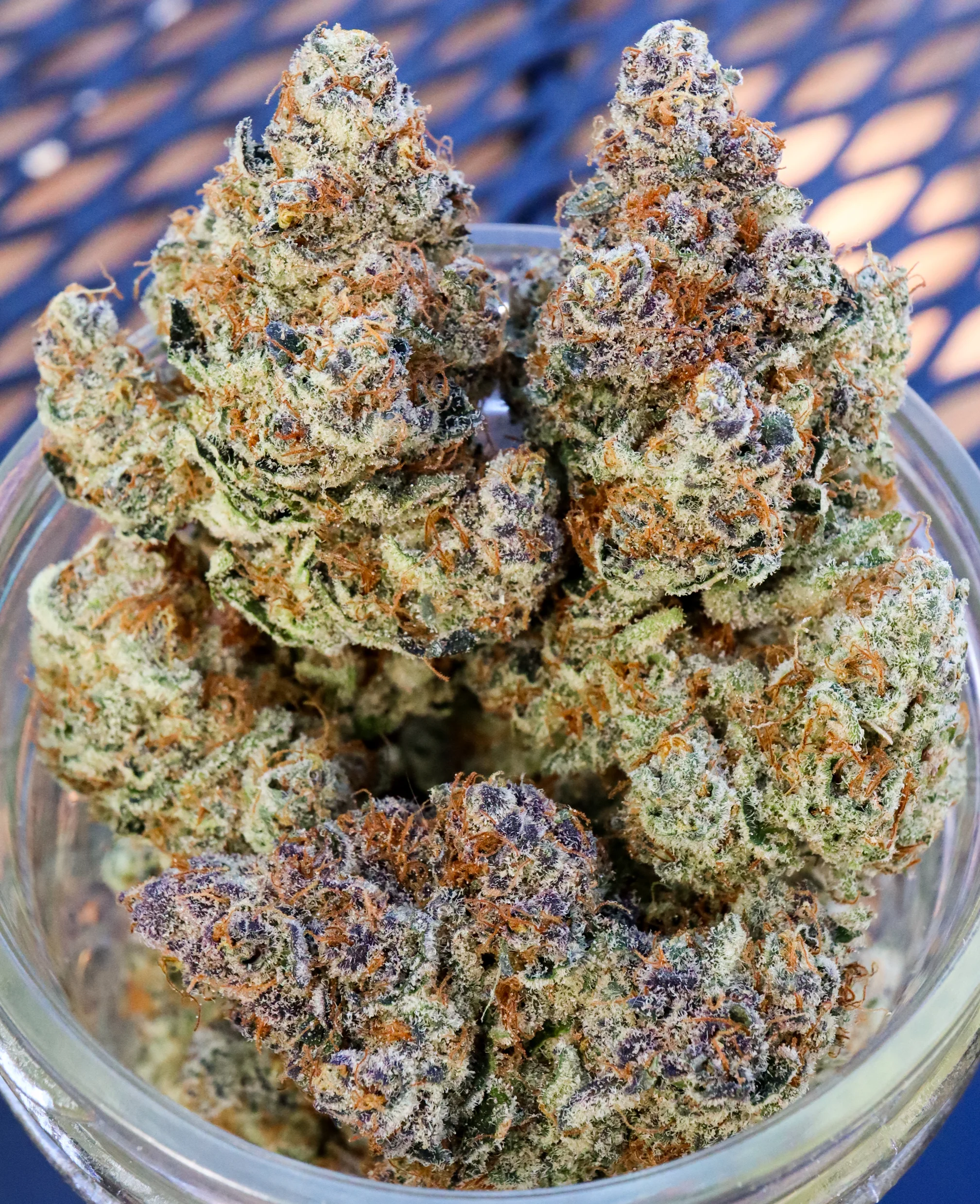 Blockberry [Clone] - Image 3