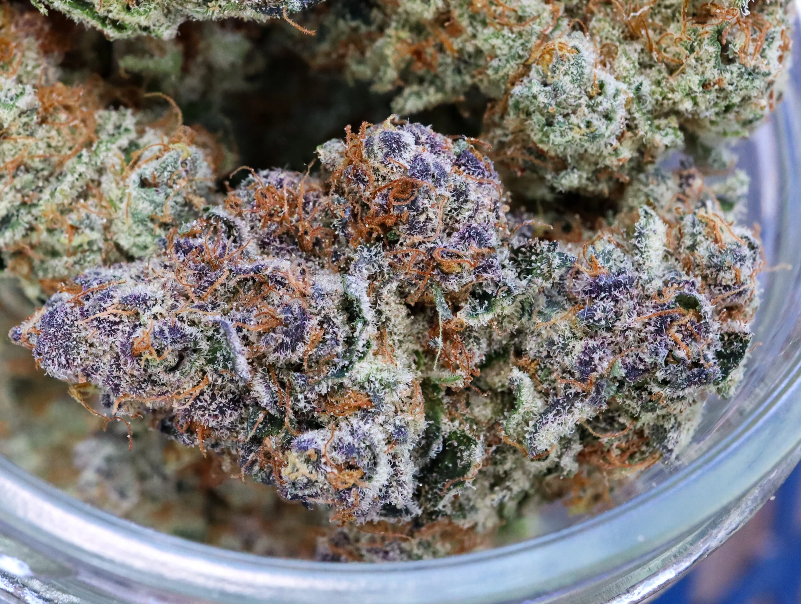 Blockberry [Clone] - Image 4