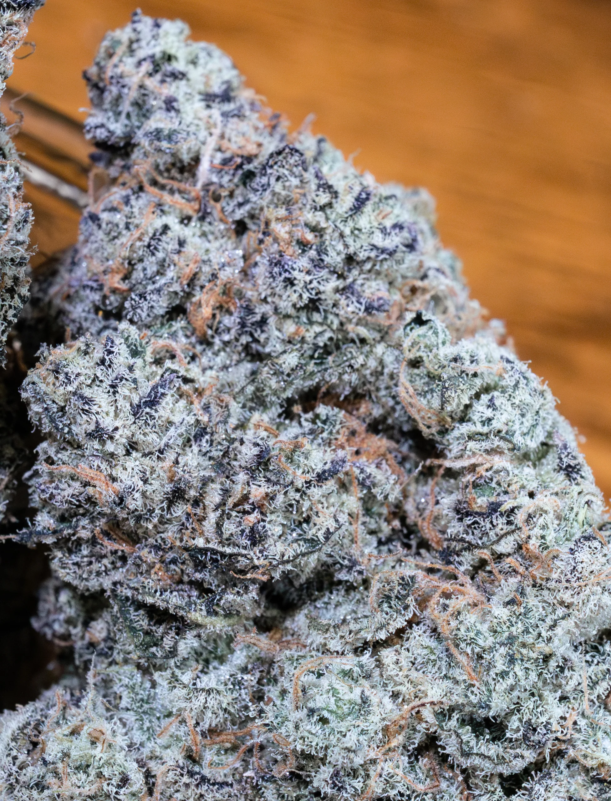 Blueberry Sugar [Clone] - Image 2