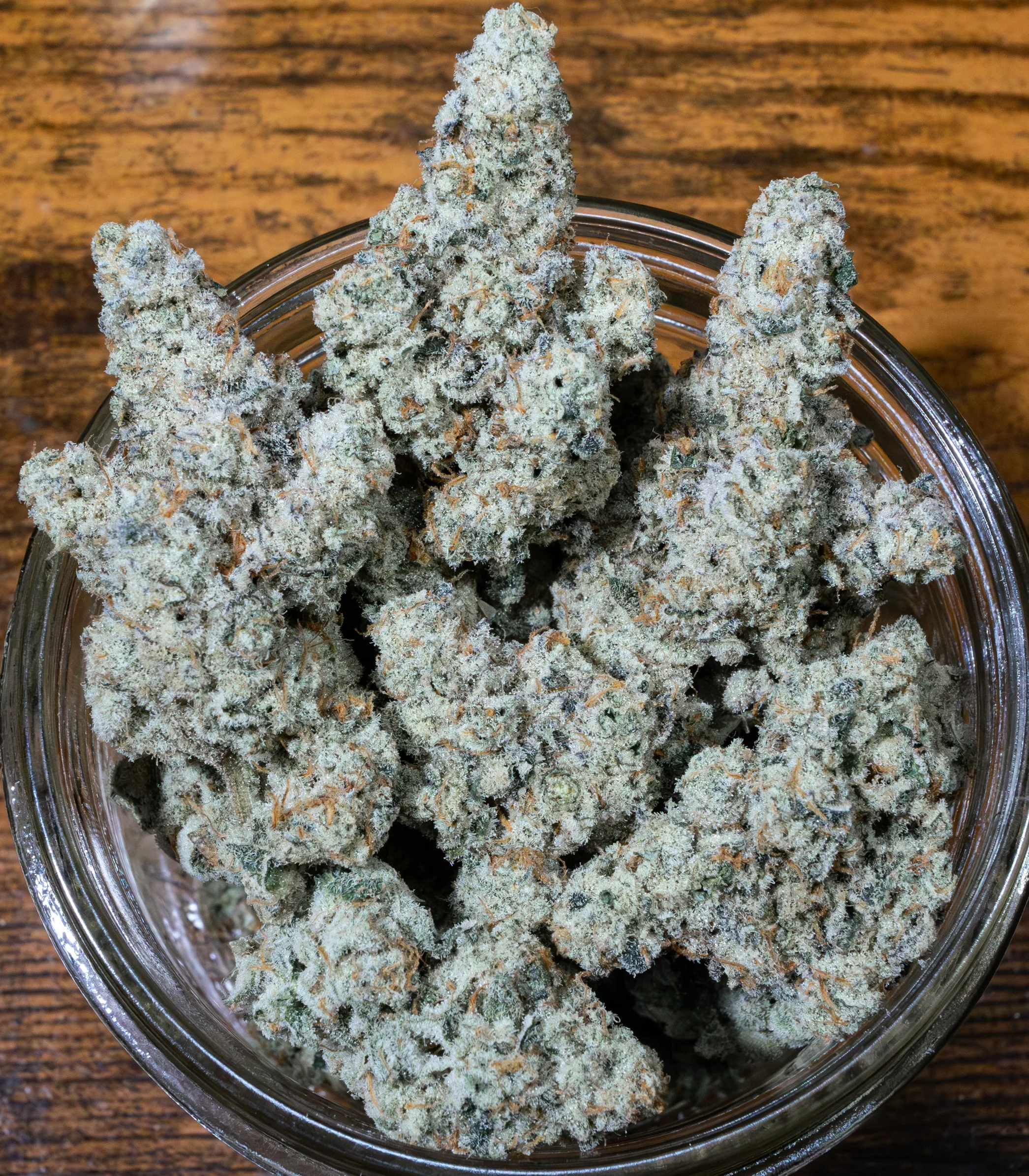 Cap Junky [Clone] - Image 4