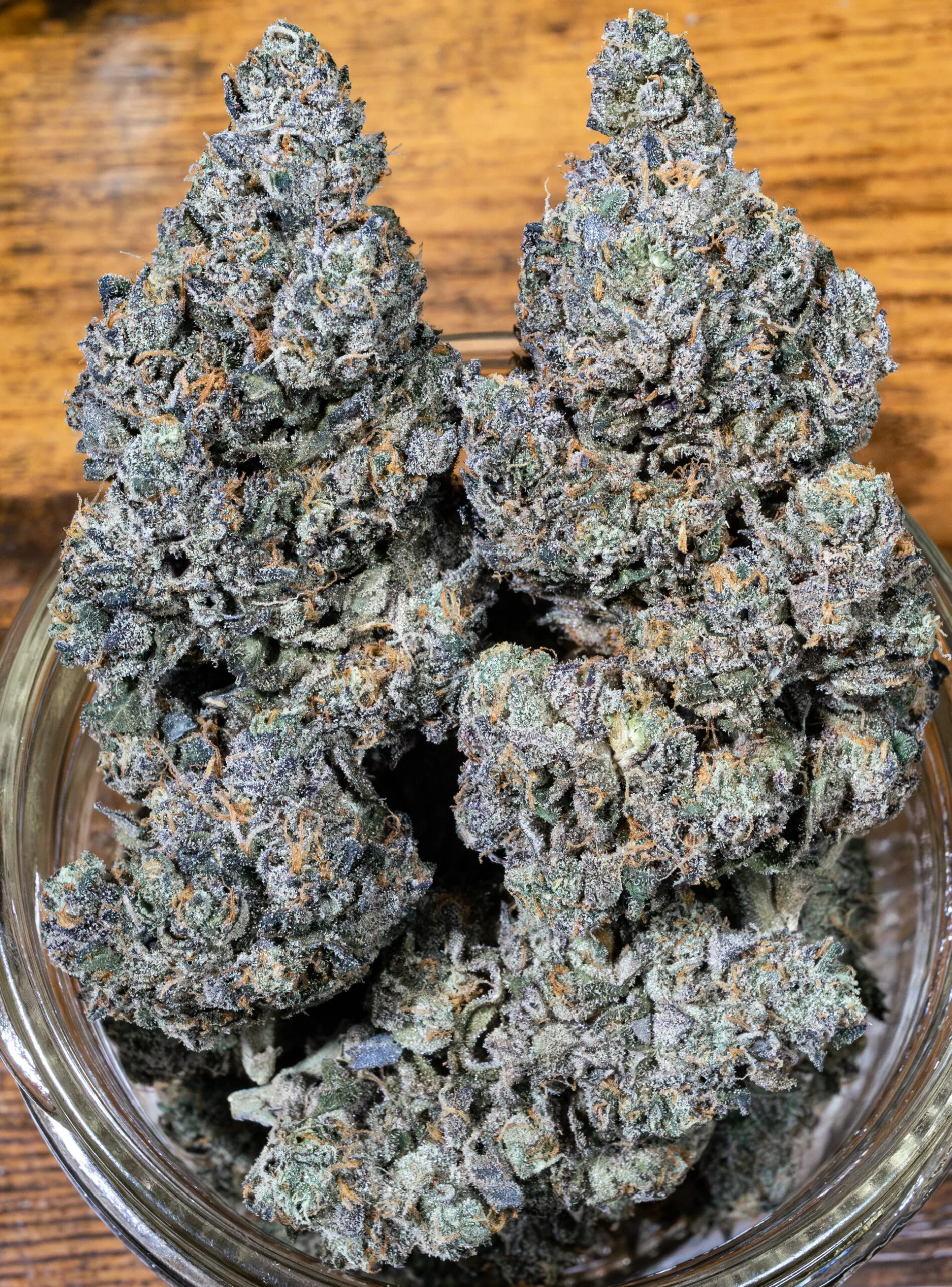 Sherb Cream Pie [Clone] - Image 2