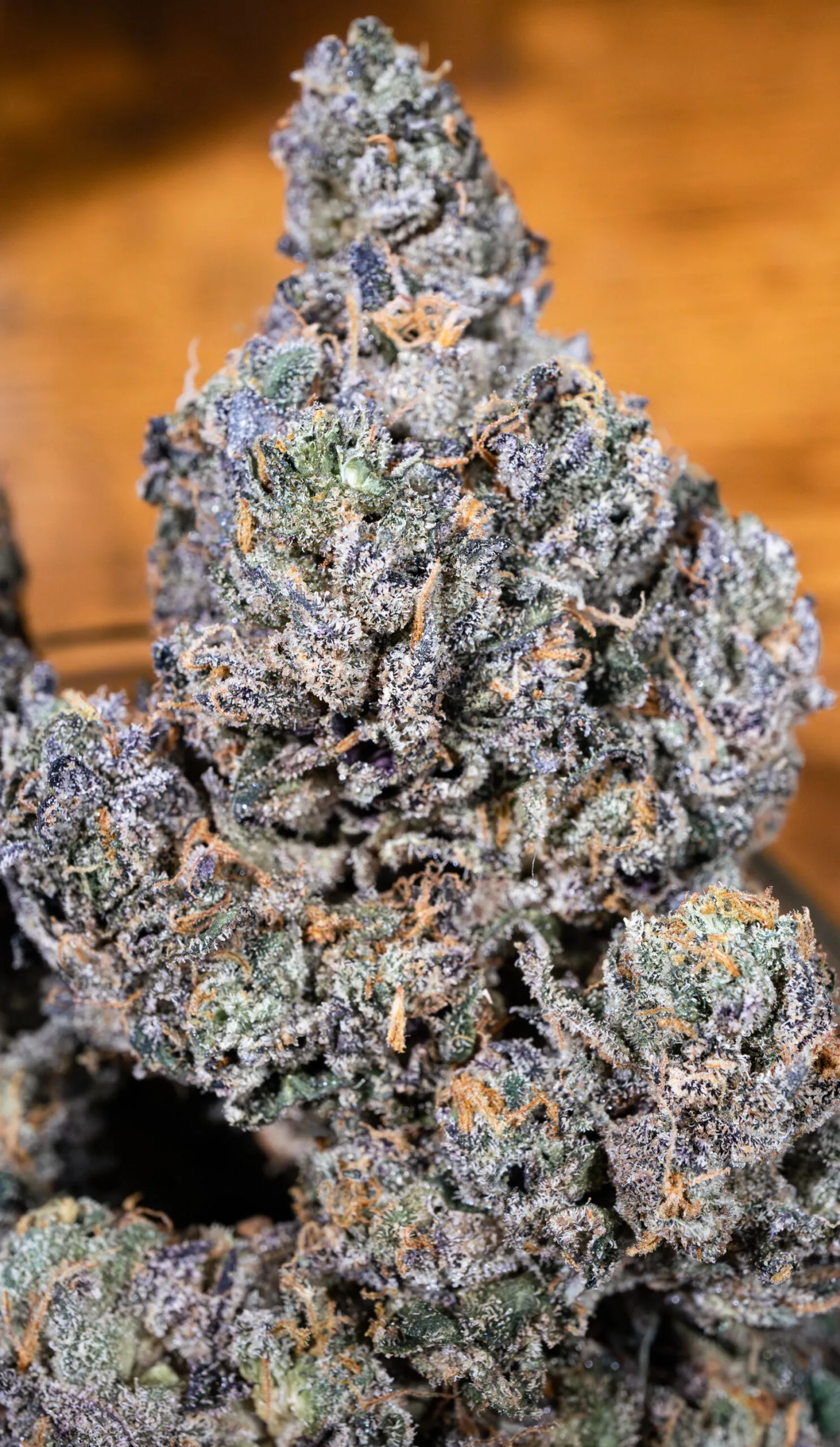 Sherb Cream Pie [Clone] - Image 4